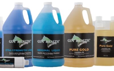 Basic Equine Health. Exciting Product Line for overall Horse Health